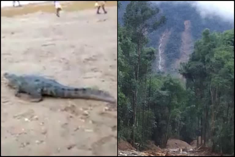 a-crocodile-was-spotted-near-the-subrahmanya-swamy-temple-in-yenekal-sulya