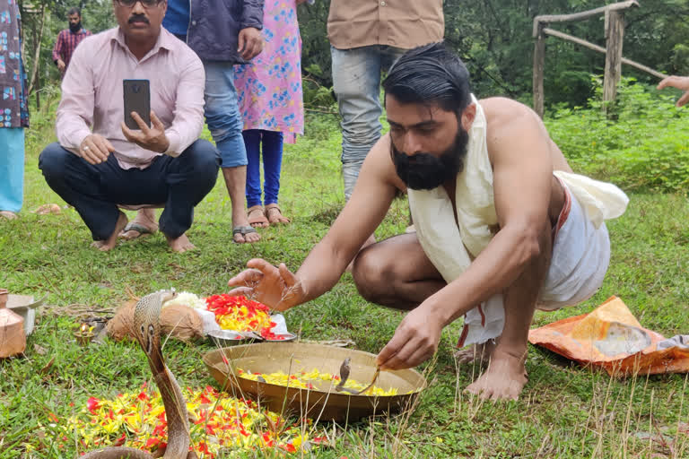 Nagara Panchami festival: Real snake is worshipped in Karnataka's Haveri and Shirasi