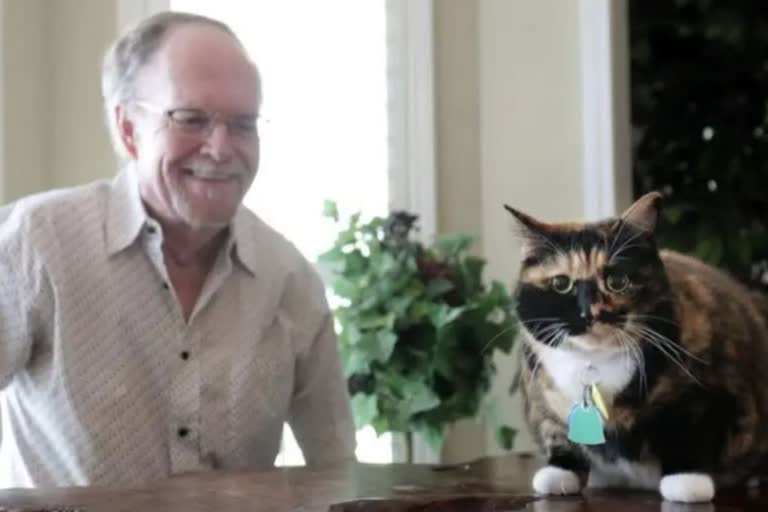 Guard cat credited with preventing would be robbery  cat named bandid prevent robbery  മോഷണ ശ്രമം തടുത്ത് ലോകശ്രദ്ധ നേടി പൂച്ച  കാവല്‍ പൂച്ച എന്നറിയപ്പെടുന്ന ബാൻഡിറ്റ്  pet cat helped prevent a robbery  വീട്ടില്‍ മോഷണ ശ്രമം തടുത്ത് പൂച്ച  intelligent cat