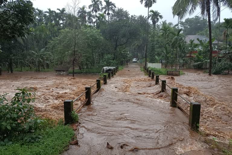 landslide in Kasargod Chulli Maruthom forest  landslide in Kasargod  Chulli Maruthom forest  കാസർകോട് ചുള്ളി മരുതോം വനത്തിൽ ഉരുൾപൊട്ടൽ  കാസർകോട് ഉരുൾപൊട്ടൽ  കാസർകോട് കുത്തിയൊലിച്ച് വെള്ളം  കാസർകോട് മഴക്കെടുതി  വെള്ളരിക്കുണ്ട് താലൂക്കിൽ ഉരുൾപൊട്ടൽ