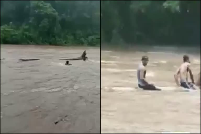 viral video youth catch wood from river Pathanamthitta  viral videos rain  Naran Model viral video in Pathanamthitta  കുത്തിയൊഴുകുന്ന ആറ്റിൽ സാഹസിക തടിപിടുത്തം  ആറ്റിൽ സാഹസിക തടിപിടുത്തവുമായി യുവാക്കൾ  യുവാക്കളുടെ തടിപിടത്ത വൈറൽ വീഡിയോ  യുവാക്കളുടെ തടിപിടിത്തം പത്തനംതിട്ട