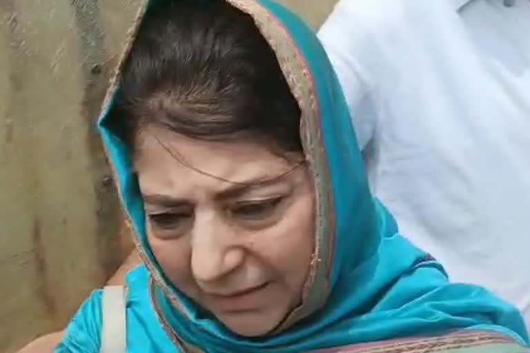 Mehbooba Mufti DP