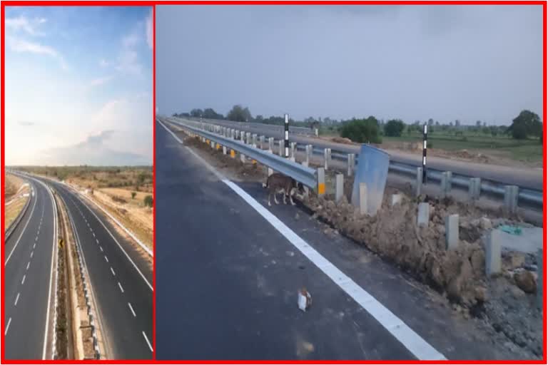 Etv BharatBundelkhand Expressway Reality Check