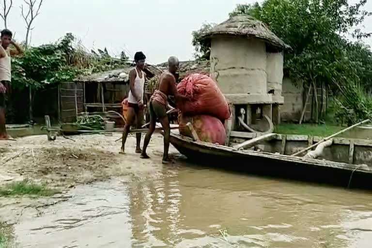 बेतिया में कई गांवों में घुसा बाढ़ का पानी