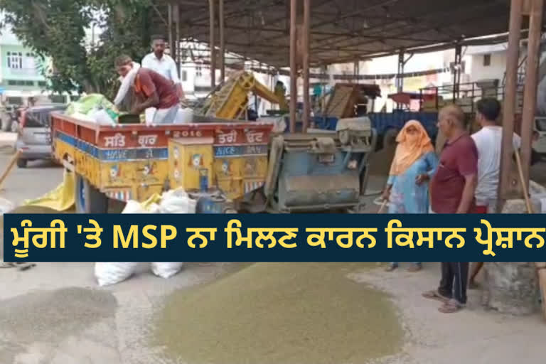 MSP ਨਾ ਮਿਲਣ ਕਾਰਨ ਮੂੰਗੀ ਕਾਸ਼ਤਕਾਰ ਨਿਰਾਸ਼