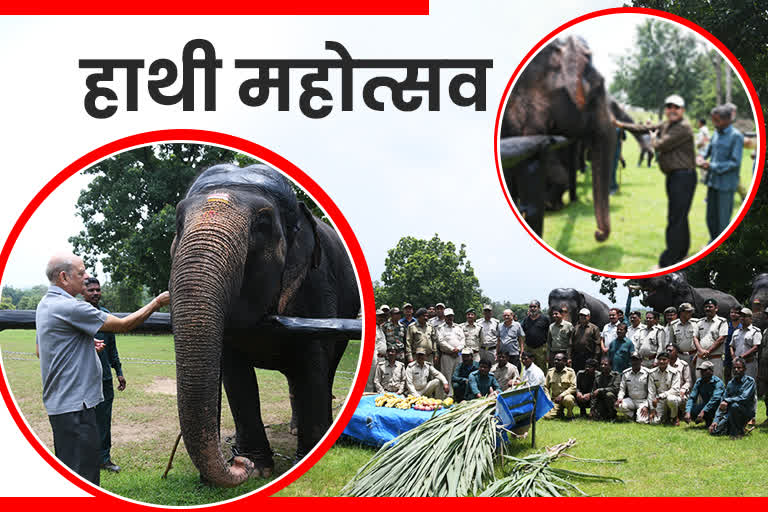 Elephant festival in Pench Tiger Teserve