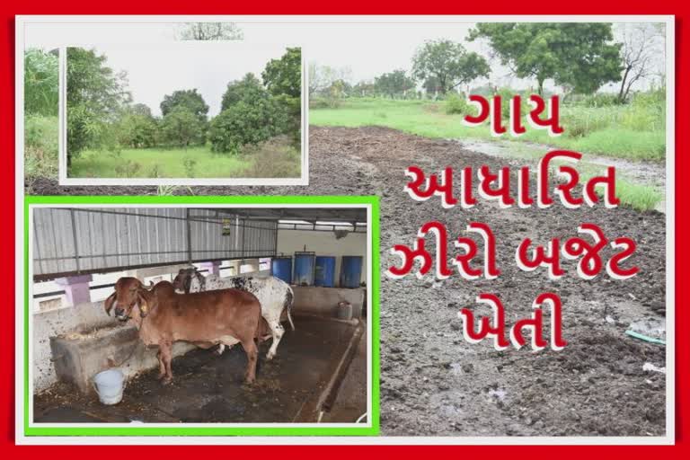 Organic Farming In Surat : તાલીમ પરાણે લીધી પણ અમલમાં મૂકી તો હાથ લાગ્યો ખજાનો, 300 ખેડૂતોને પ્રાકૃતિક ખેતી તરફ વાળ્યાં