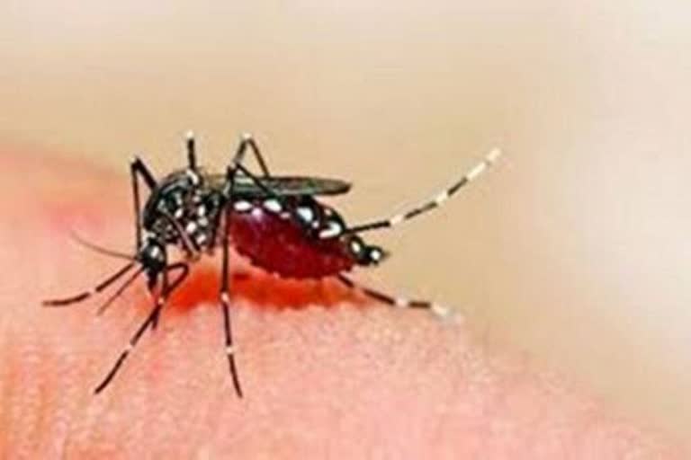 Seasonal diseases attack with epidemic in Chhattisgarh