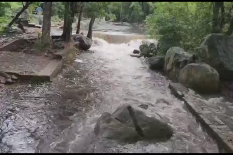 களக்காடு தலையணையில் வெள்ளப்பெருக்கு- சுற்றுலா பயணிகள் குளிக்க தடை விதிப்பு..!