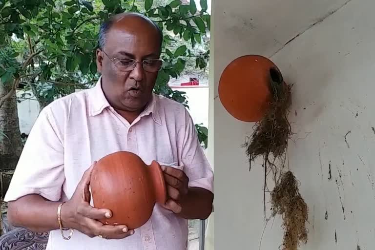 nests for house sparrow  mukesh jain mattancherry  mukesh jain creates nests for sparrow  കുരുവികൾക്ക് കൂടൊരുക്കി മുകേഷ് ജെയിൻ  കുരുവിക്കൂട് മുകേഷ് ജെയിൻ മട്ടാഞ്ചേരി  ഹൗസ് സ്‌പാരോസ്  മുകേഷ് ജെയിൻ