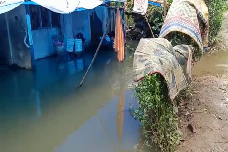 kottayam weather update  kerala weather latest update  kottayam rain update  flood at kottayam  കോട്ടയത്ത് മഴയ്‌ക്ക് ശമനം  കോട്ടയത്തെ കാലാവസ്ഥ  വെള്ളപ്പൊക്ക ഭീഷണിയിൽ കോട്ടയം  കോട്ടയം വാർത്ത  kottayam latest news  Rain subsided at kottayam  യെല്ലോ അലര്‍ട്ട്