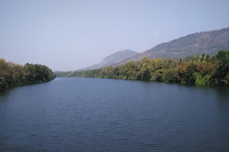 periyar river water level  പെരിയാറിൽ ജലനിരപ്പുയരുന്നു  dams connected to periyar river  മാർത്താണ്ഡവർമ സ്റ്റേഷനിലെ ജലനിരപ്പ്  എറണാകുളം വാർത്തകൾ  Periyar river coastal area people are in concern  kerala rain latest news  കേരളത്തിലെ മഴ വാർത്തകൾ  പെരിയാർ തീരത്തുള്ളവർ ആശങ്കയിൽ  പെരിയാറിലെ ജലനിരപ്പ്  കേരളത്തിലെ ഡാമുകളിലെ ജലനിരപ്പ്  water level of dams in kerala  periyar river water level risen