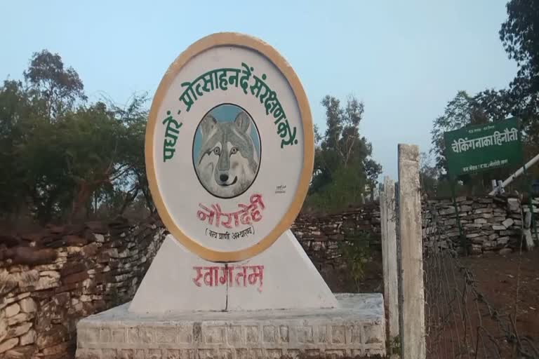 Nauradehi Tiger Reserve