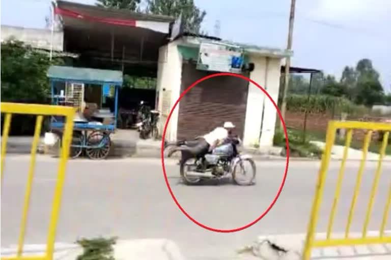 Video of stuntman in Roorkee goes vira