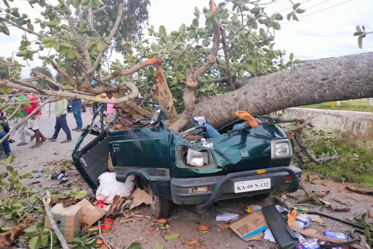 father-and-son-died-after-tree-fell-on-car-in-chamarajanagar