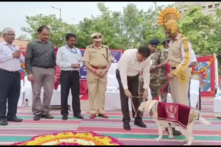 Chennai: 'Rani', a sniffer dog receives a grand retirement by CISF