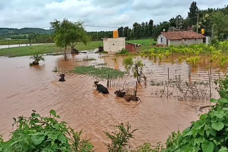 flood situation in Kunchenahalli