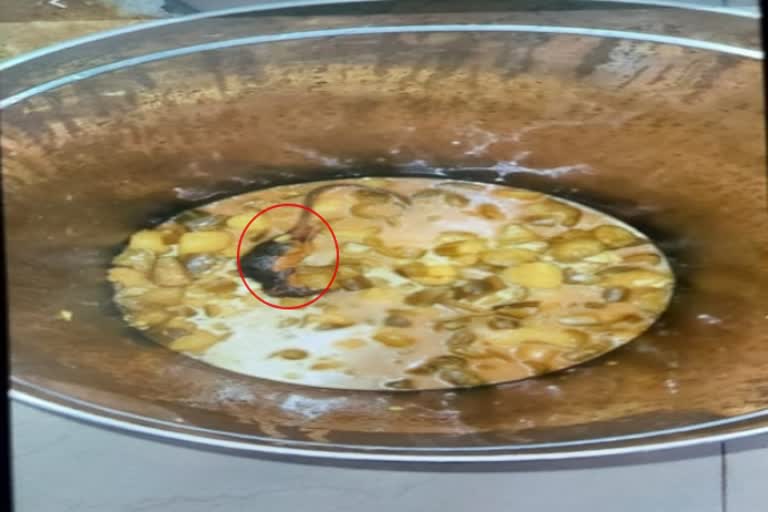 dead-rat-found-in-patients-food-in-rinpas