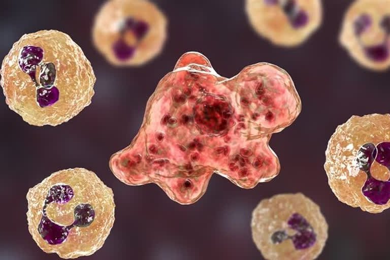 Israeli man dies from Rare Brain Infection caused by Brain eating Amoeba Naegleria Fowleri