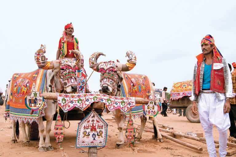 Due to lumpy virus, the world-renowned Tarnetar fair, cattle fairs and cattle competition cancelled