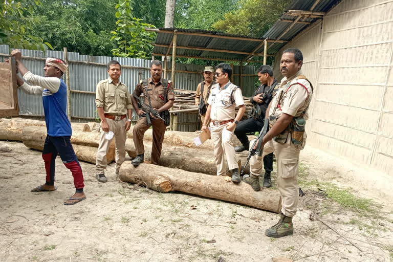 Wood seized in Hojai