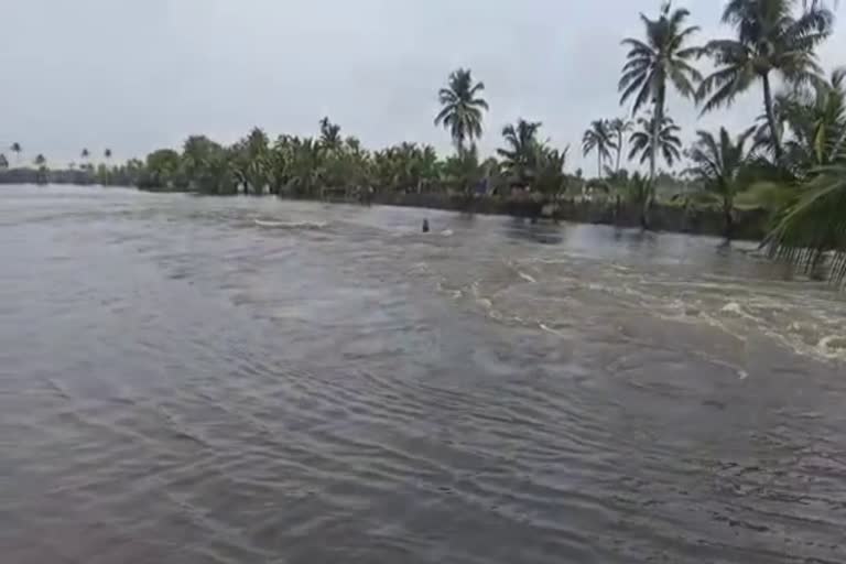 KUTTANAD CHAMBAKKULAM MADAVEEZCHA  KUTTANAD latest news  alappuzha rain news  കുട്ടനാട്ടിൽ വീണ്ടും മടവീഴ്‌ച  ചമ്പക്കുളത്ത് മടവീഴ്‌ച  house collapsed in kuttanad because of madaveezcha  കുട്ടനാട് മഴ വാർത്ത  heavy rain at kerala  CHAMBAKKULAM MADAVEEZCHA house collapsed