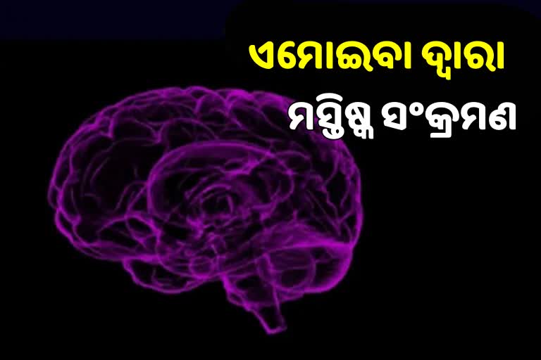 ବ୍ରେନ ଇଟିଂ ଏମୋଇବା ସଂକ୍ରମଣରେ ଯୁବକ ମୃତ !