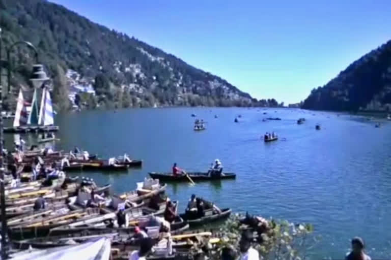 How common carp, a fish species, is threatening Nainital lake