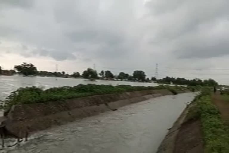 Water wreaked havoc in Janjgir Champa Bargaon