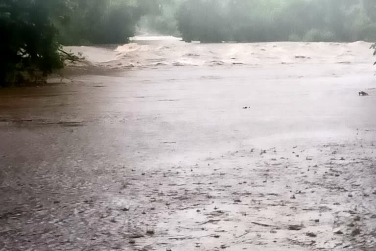 Heavy Rain In Gadchiroli