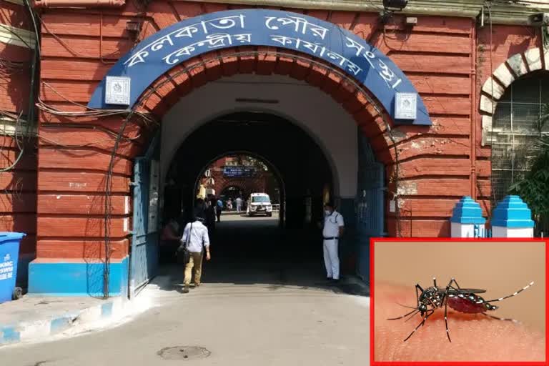 KMC on Dengue