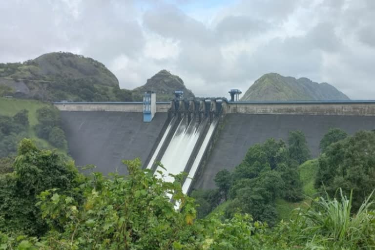 Etv Bhar kerala rain updates  water level rising in idukki  water level rising in idukki mullaperiyar dams  idukki rain latest  ഇടുക്കി മഴ വാര്‍ത്ത  കേരളത്തില്‍ കനത്ത മഴ  ഇടുക്കി മുല്ലപ്പെരിയാർ അണക്കെട്ടുകളിലെ ജലനിരപ്പ്  പെരിയാര്‍ തീരത്ത് അതീവ ജാഗ്രത  റോഷി അഗസ്റ്റിന്‍  മുല്ലപ്പെരിയാർ ഡാം ജലനിരപ്പ് ഉയരുന്നു  ഇടുക്കി ഡാം ജലനിരപ്പ് ഉയരുന്നു  അണക്കെട്ടുകളില്‍ ജലനിരപ്പ് ഉയരുന്നു  പുറത്തേക്ക് ഒഴുക്കി വിടുന്ന ജലത്തിന്‍റെ അളവ് വര്‍ധിപ്പിച്ചു at