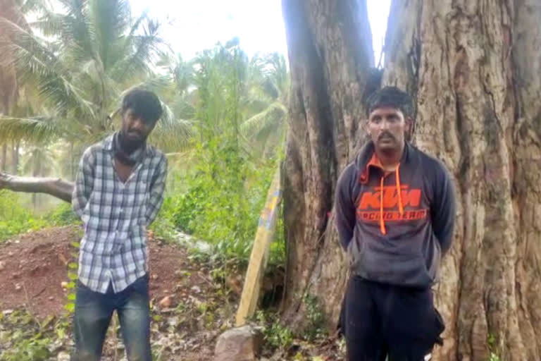 Chain snatchers arrested in Tumkur  Tumkur crime news  Chain snatchers catch by Locals in Tumkur  ಮಹಿಳೆಗೆ ಖಾರದಪುಡಿ ಎರಚಿ ಮಾಂಗಲ್ಯಸರ ಕದಿಯಲು ಯತ್ನ  ಸರಗಳ್ಳರನ್ನು ಹಿಡಿದು ಥಳಿಸಿದ ಗ್ರಾಮಸ್ಥರು  ಮಹಿಳೆಗೆ ಖಾರದಪುಡಿ ಎರಚಿ ಮಾಂಗಲ್ಯಸರ ಕದ್ದು ಪರಾರಿ  ದಂಡಿನಶಿವರ ಪೋಲೀಸ್ ಠಾಣೆ  ತುಮಕೂರು ಅಪರಾಧ ಸುದ್ದಿ