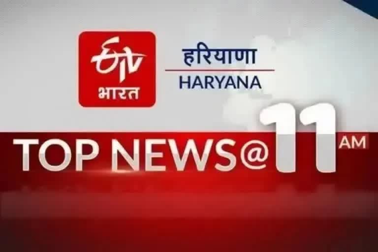 haryana top ten news