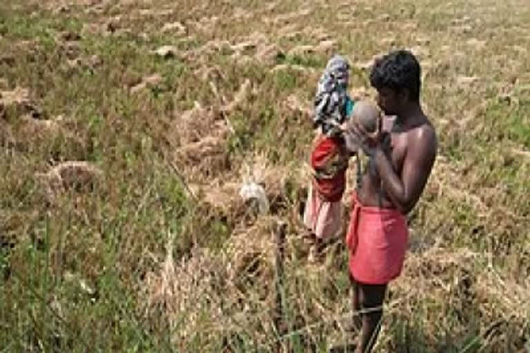 World Tribal Day: A lot needs to be done for tribals in Jharkhand