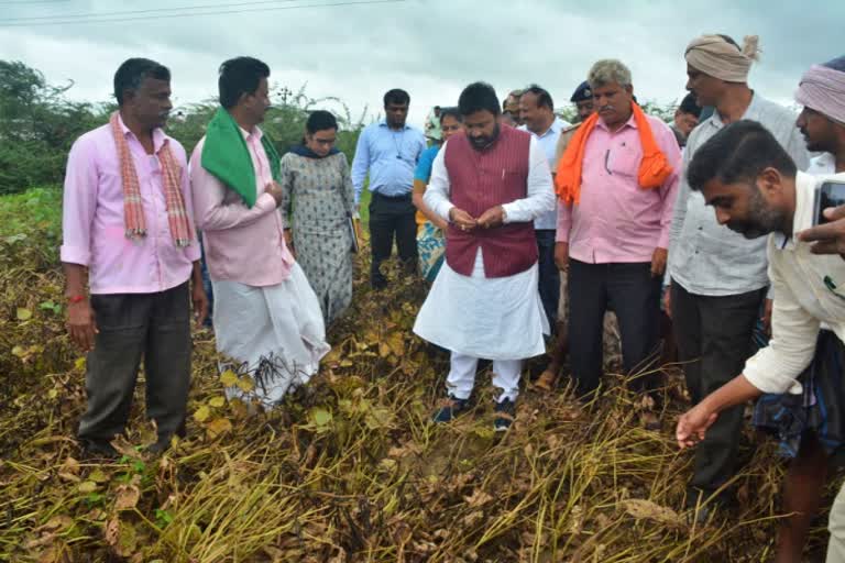 ಬೆಳೆಹಾನಿ ವೀಕ್ಷಣೆ ಮಾಡಿದ ಸಚಿವ ಬಿ ಸಿ ಪಾಟೀಲ್