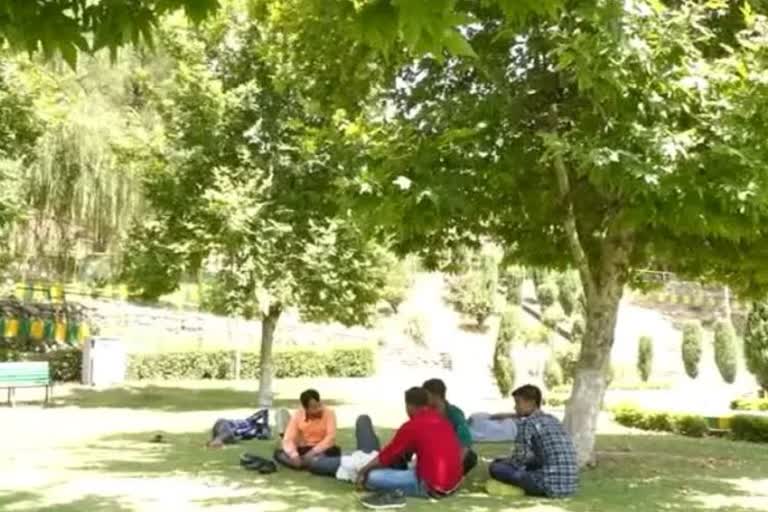 Mega Chinar park to come up soon in Srinagar