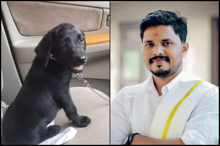 Praveen Nettaru's beloved dog died due to illness