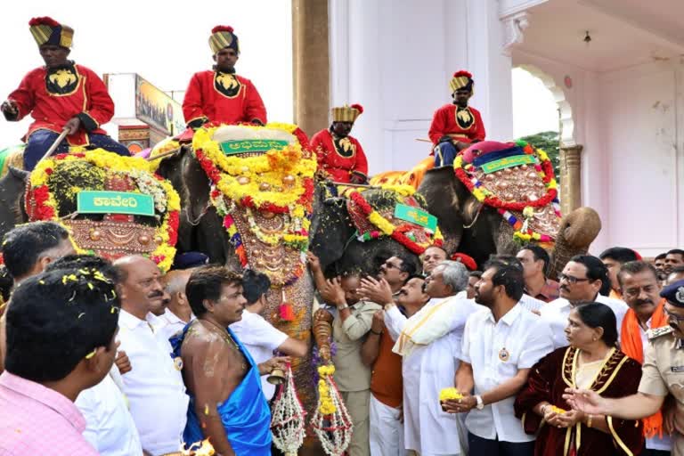 a-traditional-welcome-to-the-elephant-at-mysore