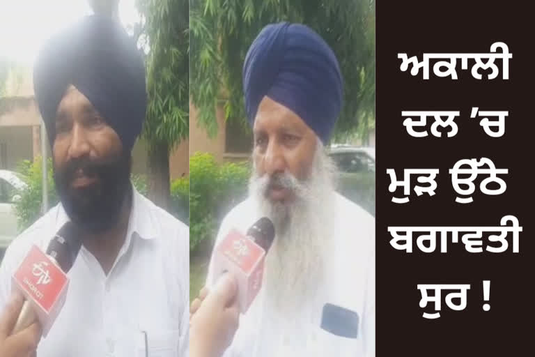 Akali workers, Jagmeet Singh Brar, akali dal party