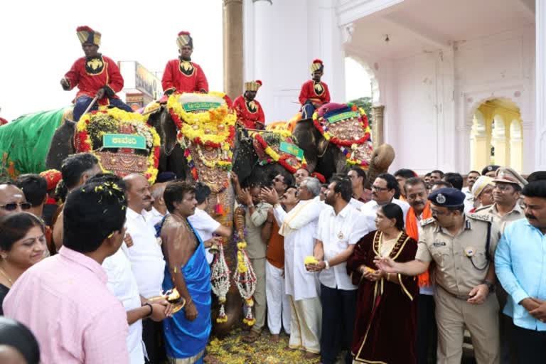 மைசூரு தசரா கொண்டாட்டம் - யானைகளுக்கு பிரம்மாண்ட வரவேற்பு!