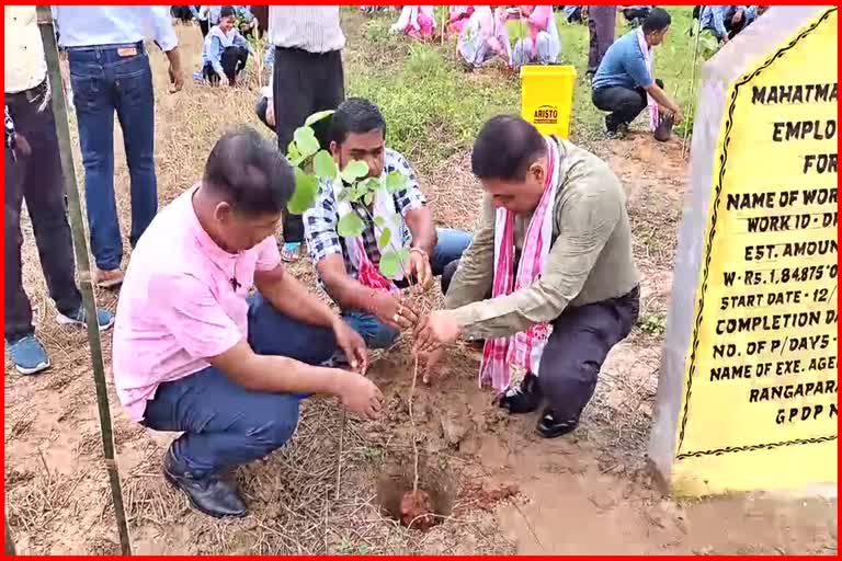 Plantation Programme held at Rangapara in Sonitpur