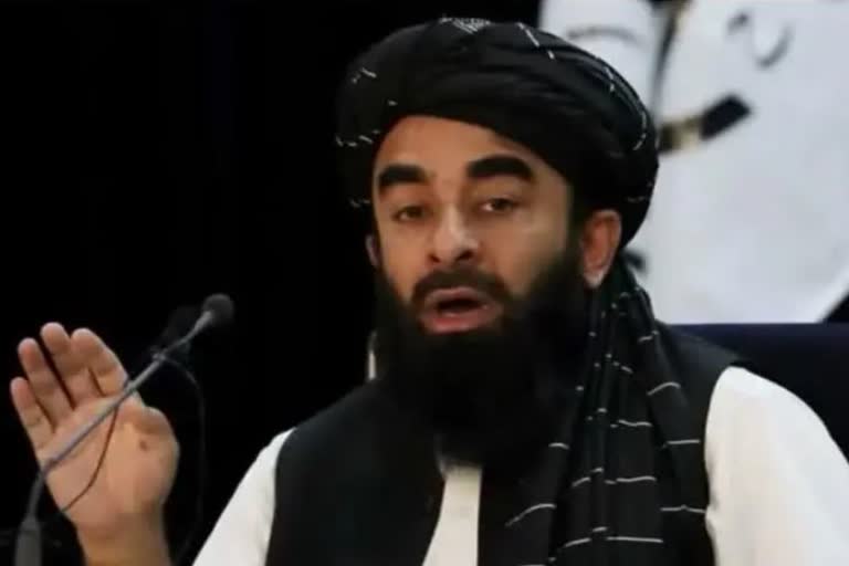 طالبان کے ترجمان ذبیح اللہ مجاہد