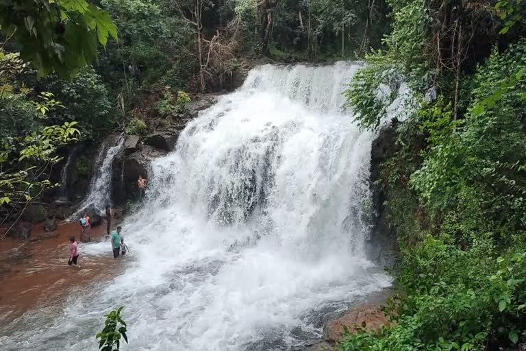 Harithirthakara waterfalls payyanur kannur  toilet facilities at Harithirthakara waterfalls payyanur kannur  no basic facilities including toilet facilities at Harithirthakara  Harithirthakara waterfalls latest news  payyanur kannur latest news  kannur news today  ഹരിതീർത്തകര വെള്ളച്ചാട്ടം  ഹരിതീർത്ഥകര വെള്ളച്ചാട്ടത്തില്‍ അടിസ്ഥാന സൗകര്യമില്ല  ഹരിതീർത്ഥ കരയിൽ ടോയ്‌ലറ്റ് സംവിധാനം അടക്കം അടിസ്ഥാന സൗകര്യങ്ങൾ ഇല്ല  രിതീർത്ഥകര വെള്ളച്ചാട്ടം പുതിയ വാര്‍ത്ത  കണ്ണൂര്‍ പയ്യന്നൂര്‍ ഏറ്റവും പുതിയ വാര്‍ത്ത  ഏറ്എറവും പുതിയ വാര്‍ത്ത  പ്രധാന വാര്‍ത്തകള്‍  ഹരിതീർത്തക്കര  ഹരിതീര്‍ഥകരയുടെ പ്രശ്‌നം അടിസ്ഥാന സൗകര്യം മാത്രം  സഞ്ചാരികള്‍ക്ക് കൗതുകമായി ഹരിതീര്‍ഥകര വെള്ളച്ചാട്ടം