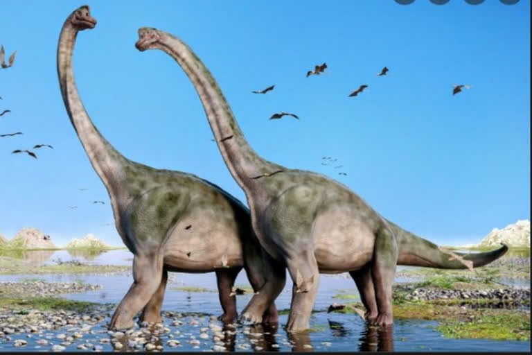 A key feature contributed to sauropods getting so enormous, new dino ...