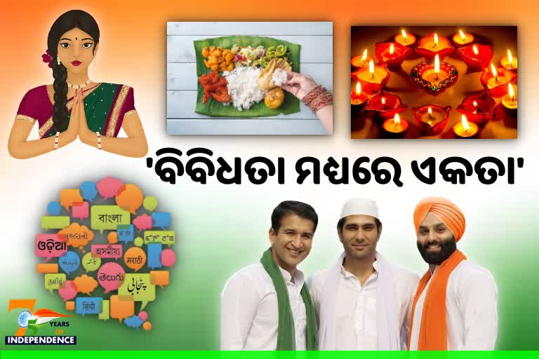 Dil Se Desi: ସଂସ୍କୃତି ପରମ୍ପରାରେ ପୂର୍ଣ୍ଣ ଭାରତବର୍ଷ, ବିଶ୍ବଦରବାରରେ ରହିଛି ସ୍ବତନ୍ତ୍ର ପରିଚୟ