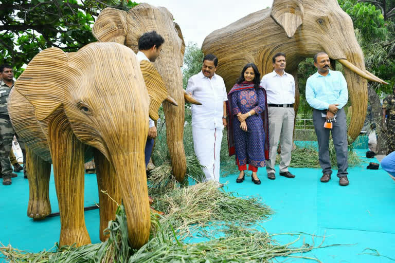 மெரினாவில் உலக யானைகள் தின விழிப்புணர்வு வனத்துறை அமைச்சர் தொடங்கி வைத்தார்