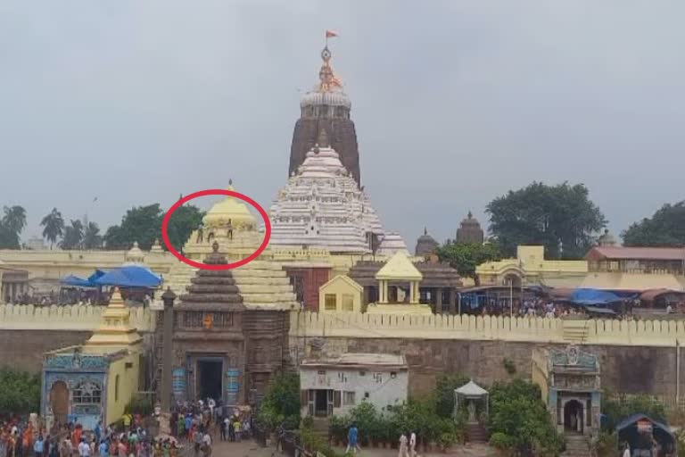 young man climbed shri mandir rescued by puri police