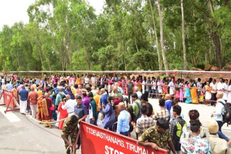 Tirumala Srivari Sarvadarshan  Crowd of devotees increased  തിരുമല ശ്രീവരി സർവദർശന് വന്‍ ജനത്തിരക്ക്  തിരുമല ദര്‍ശനത്തിന് 36 മണിക്കൂര്‍ ക്യൂ  തിരുമലയിൽ വന്‍ ഭക്തജനത്തിരക്ക്