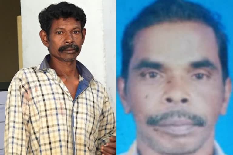 man stabbed to death by neighbor in adimaly  വാക്കേറ്റം കലാശിച്ചത് കത്തിക്കുത്തിൽ  അയൽവാസിയുടെ ആക്രമണത്തിൽ മധ്യവയസ്‌കൻ കൊല്ലപ്പെട്ടു  അടിമാലി തുമ്പിപ്പാറകുടി കൊലപാതകം  മുൻ വൈരാഗ്യത്തെ തുടർന്ന് കത്തിക്കുത്ത്  ക്രൈം വാര്ത്ത  crime news  റോയി ഓനൻ കൊലപാതകം  man murdered by neighbor idukki  തുമ്പിപ്പാറകുടി സ്വദേശി റോയി